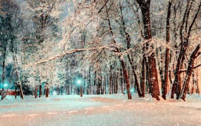 Holiday Travel Safety Tips